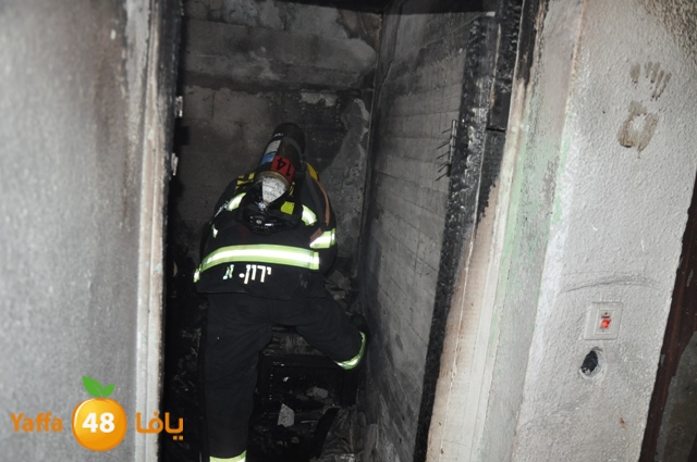 fireshekonatelarab (9).JPG